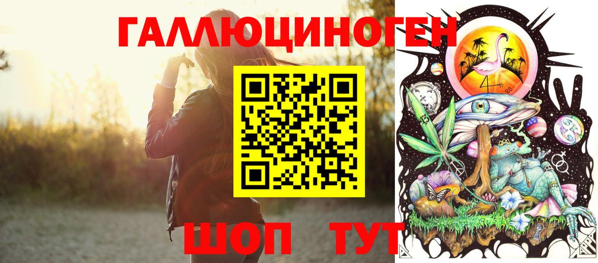 Псилоцибиновые грибы Psilocybine cubensis Ленинск-Кузнецкий