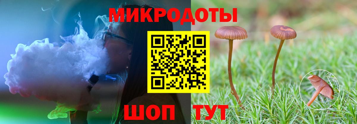 Псилоцибиновые грибы Psilocybine cubensis  Вход с VPN  Ленинск-Кузнецкий 
